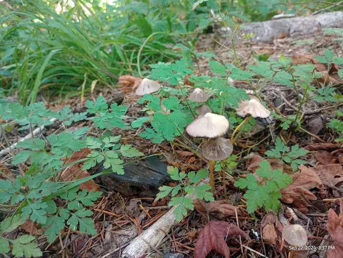 Clay Creek Recreation Site Picture 3