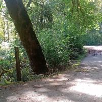 Clay Creek Recreation Site ico