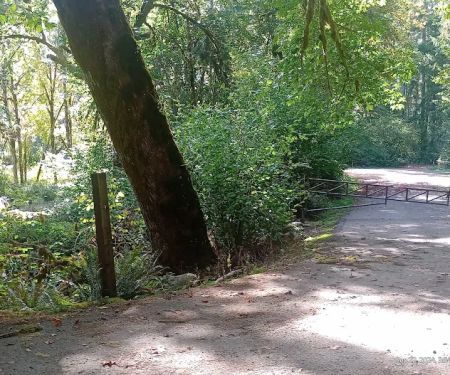Clay Creek Recreation Site