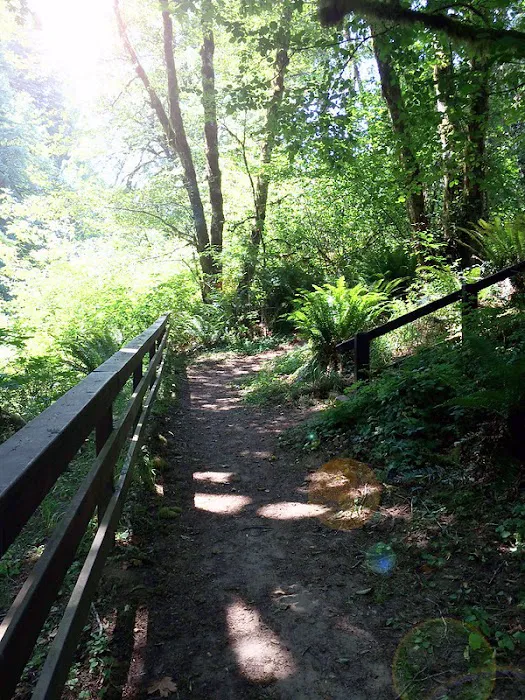 Clay Creek Recreation Site Picture 5
