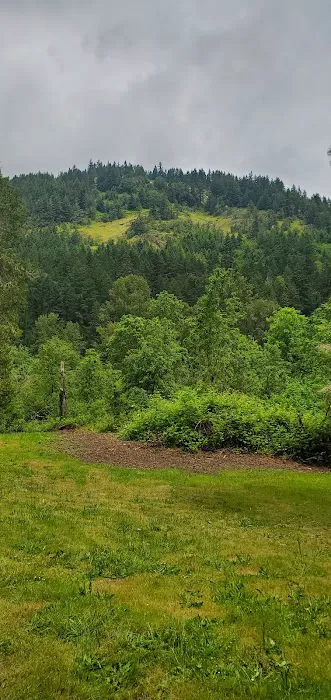 Schwarz Campground Picture 7