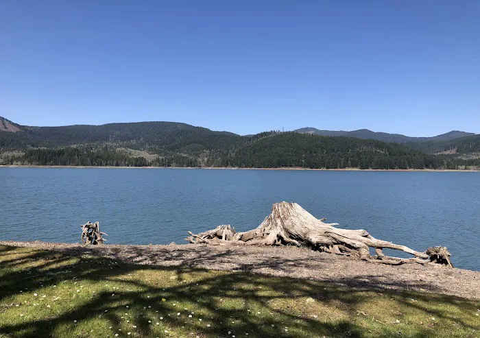 Baker Bay Campgrounds & Marina Picture 8