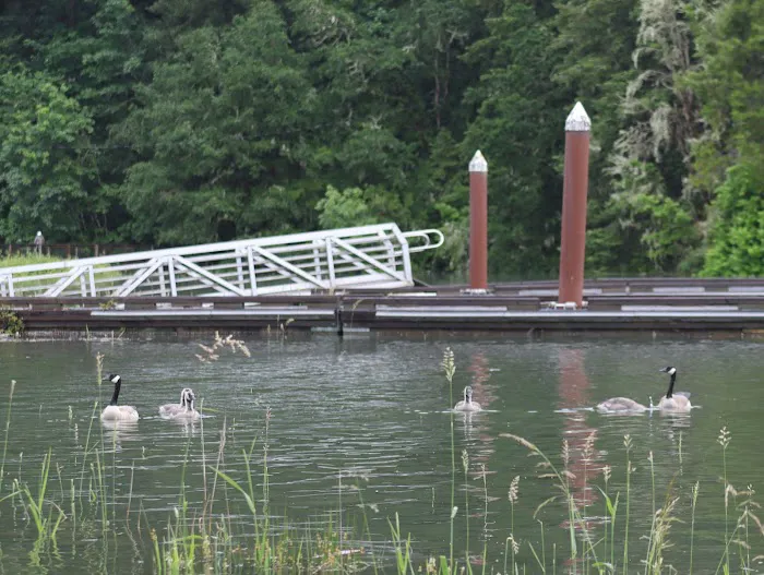 Baker Bay Campgrounds & Marina Picture 5