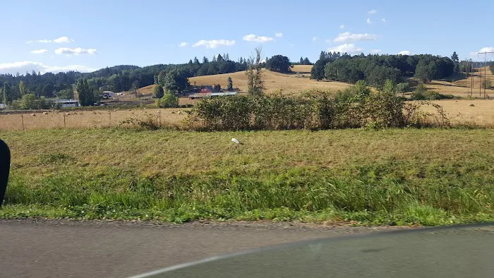 Cottage Grove RV Village Picture 1