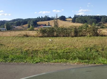 Cottage Grove RV Village