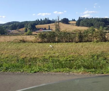 Cottage Grove RV Village
