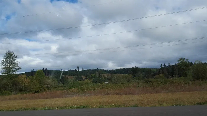 Cottage Grove RV Village Picture 4