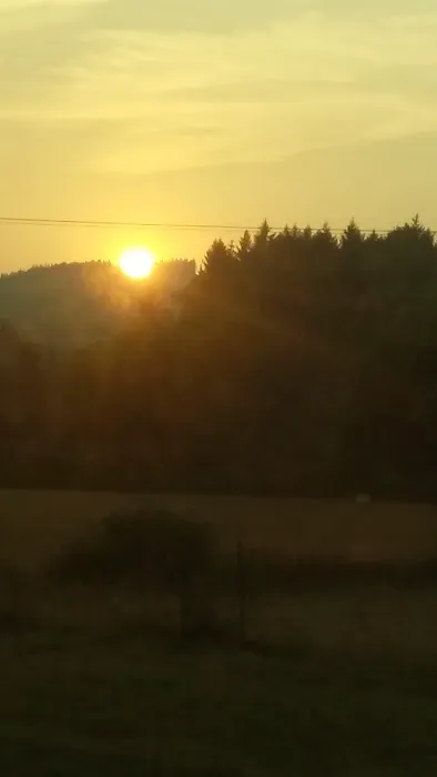 Cottage Grove RV Village Picture 10