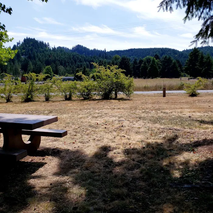 Pine Meadows Campground Picture 2