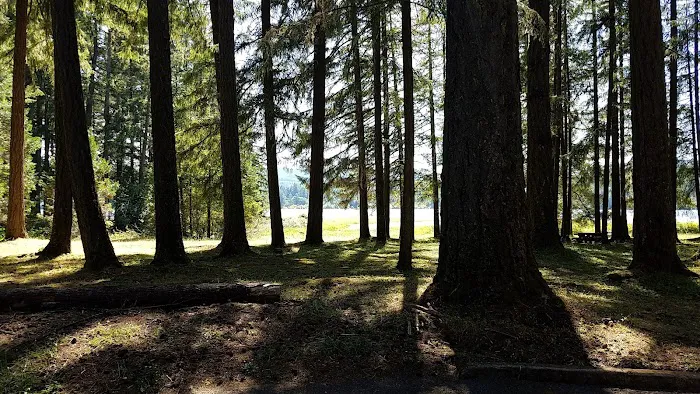 Primitive Campground Picture 5