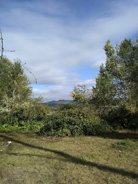 Primitive Campground Picture 8