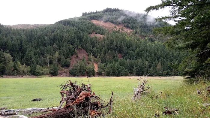 Upper End Campground Picture 5