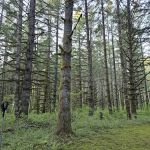 Upper End Campground