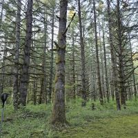 Upper End Campground ico