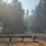 Fisherman's Point Group Camp