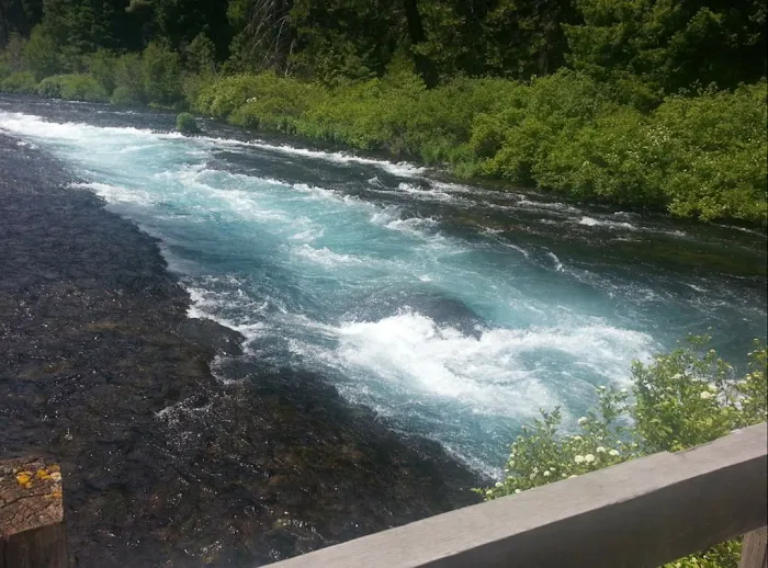 Gorge Campground Picture 6