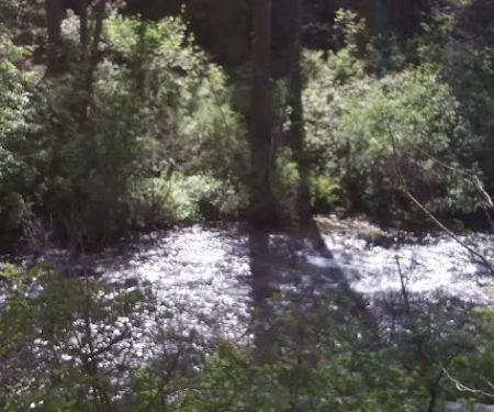 Gorge Campground