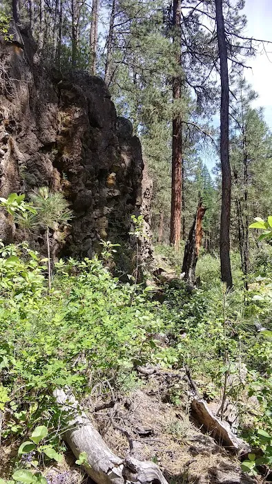 Gorge Campground Picture 2