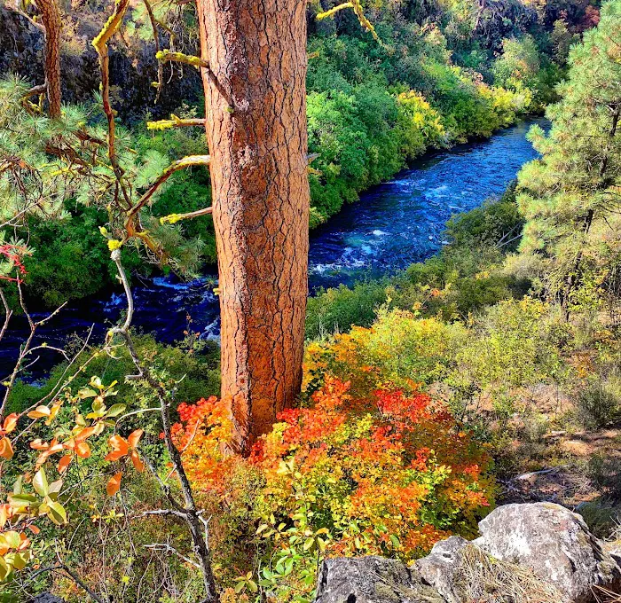 Gorge Campground Picture 10