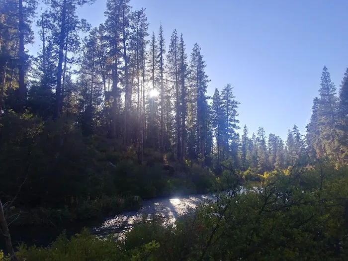 Lower Canyon Creek Campground Picture 6