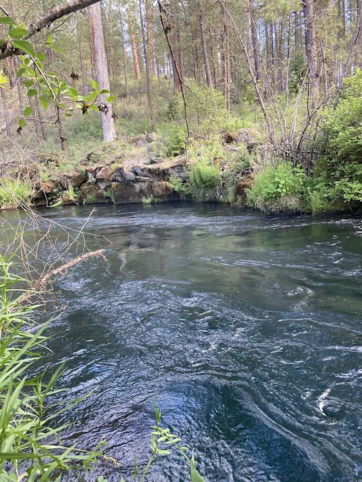 Lower Canyon Creek Campground Picture 10