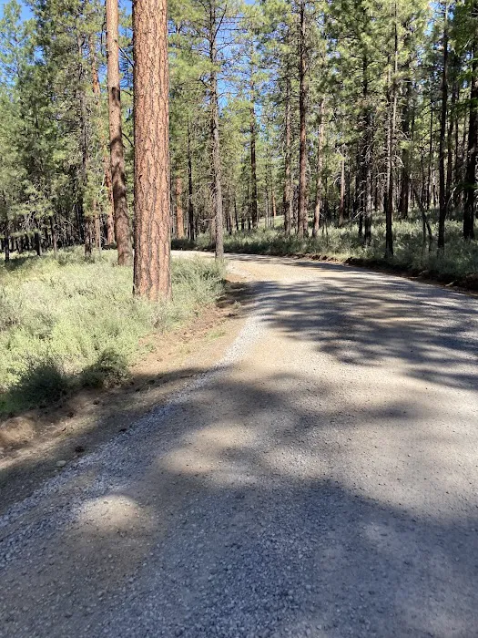 Lower Canyon Creek Campground Picture 8