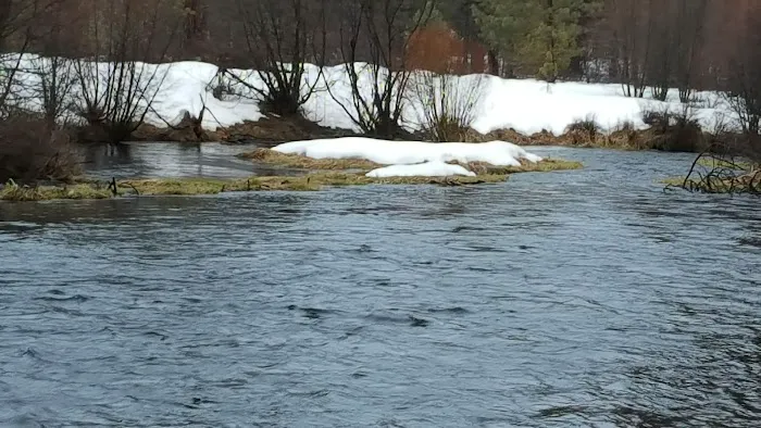 Pine Rest Campground Picture 3