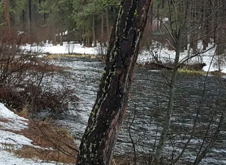 Pine Rest Campground