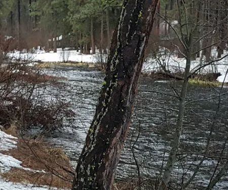 Pine Rest Campground