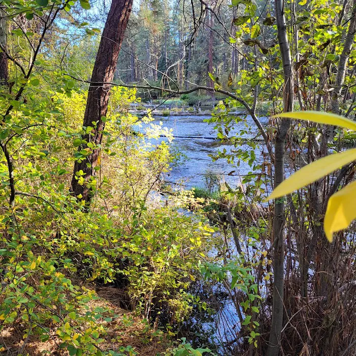 Pine Rest Campground Picture 5