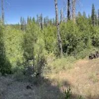 Deschutes NF-Sisters-Metolius Area ico