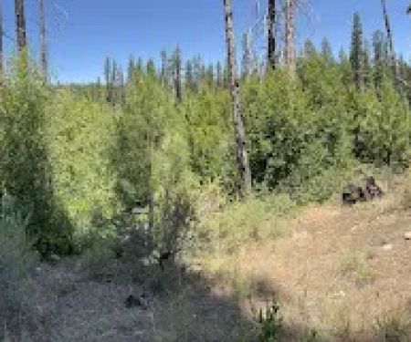 Deschutes NF-Sisters-Metolius Area