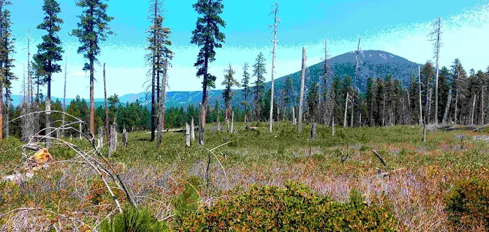 Deschutes NF-Sisters-Metolius Area Picture 4