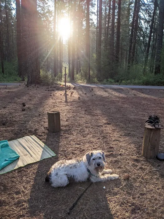 Smiling River Campgrounds Picture 4