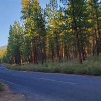Smiling River Campgrounds ico