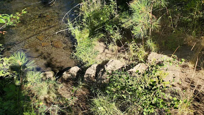 Smiling River Campgrounds Picture 3