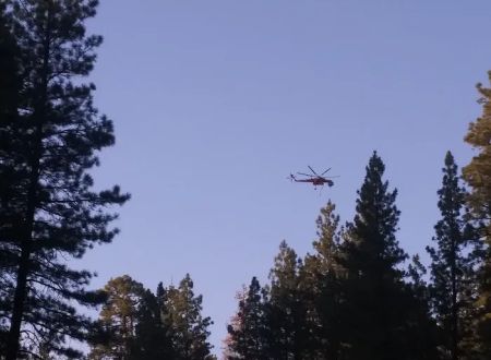 Allingham Campground