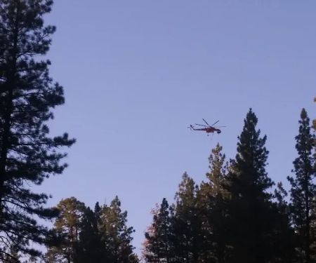 Allingham Campground