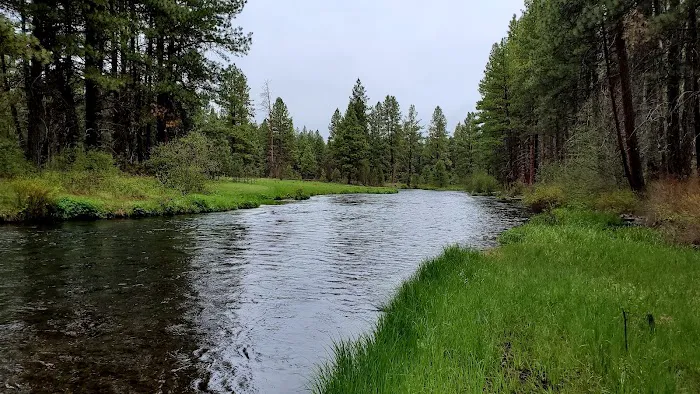 Camp Sherman Campground Picture 9