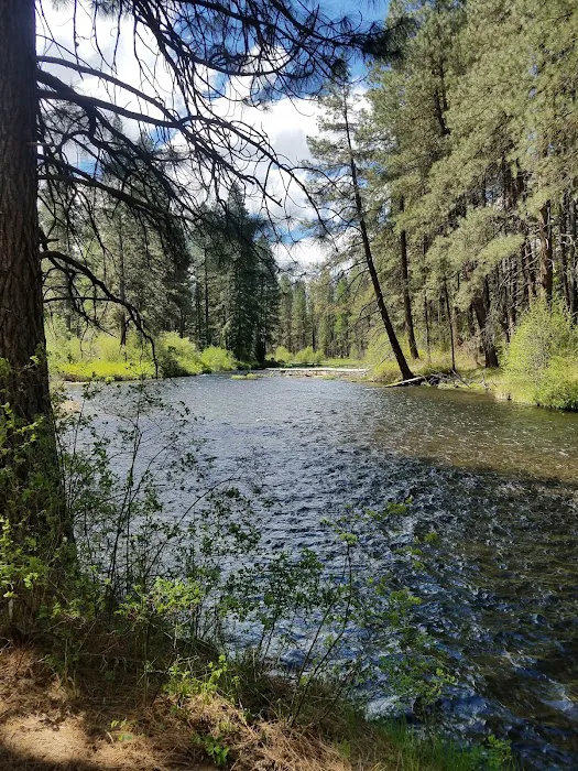 Camp Sherman Campground Picture 10