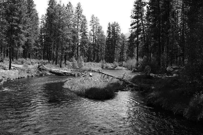 Camp Sherman Campground Picture 4