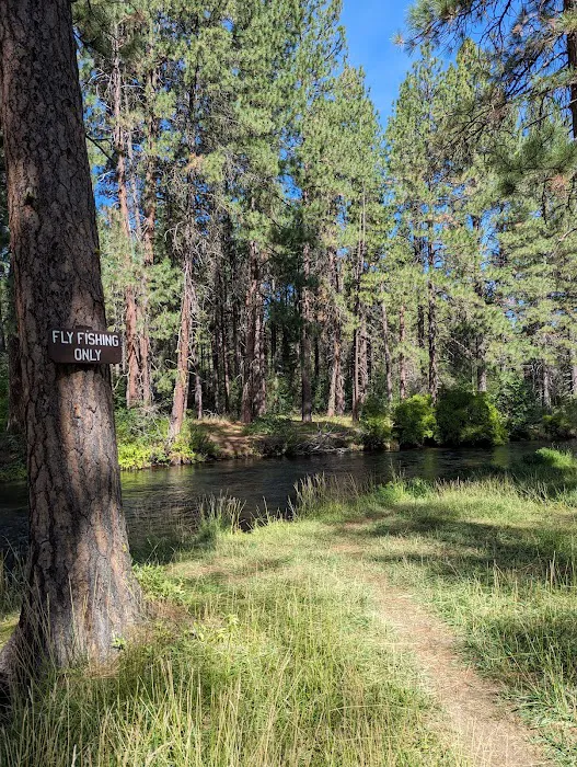 Camp Sherman Campground Picture 6