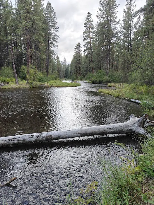 Riverside Campground Picture 1