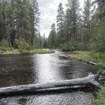 Riverside Campground