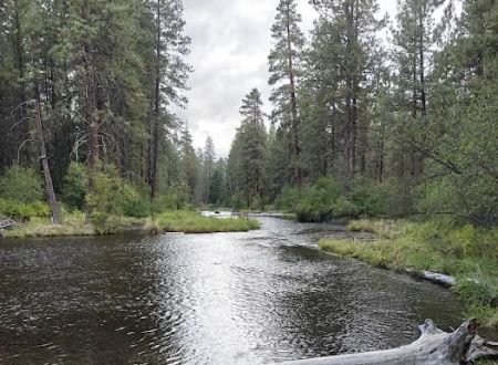 Riverside Campground