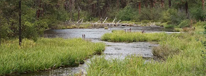 Riverside Campground Picture 2