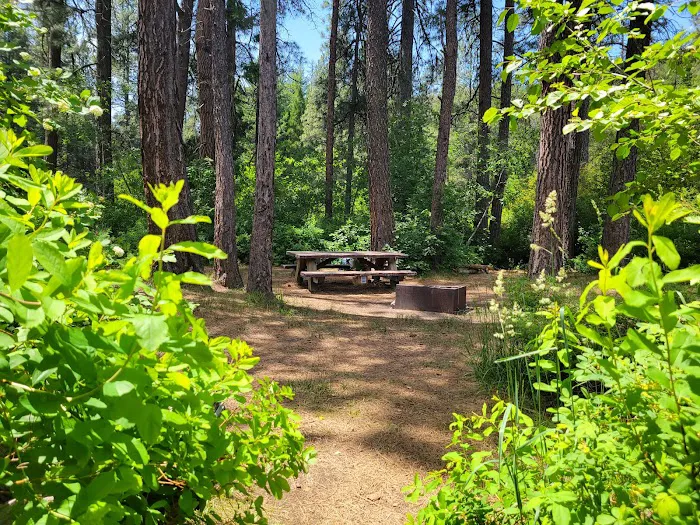 Allen Springs Campground Picture 3