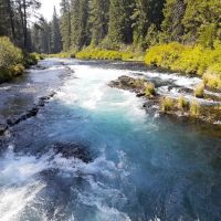 Allen Springs Campground ico