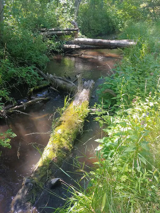 Indian ford campground Picture 6
