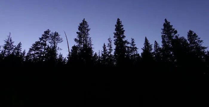 Pioneer Ford Campground Picture 2